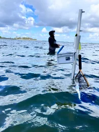 Strelasund (Riems)-1