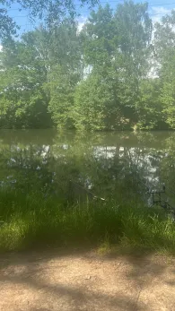 Schachtteiche Wienrode-4