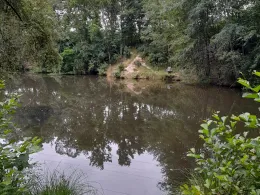 Schachtteiche Wienrode-2