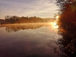 Neckar (Poppenweiler)-4