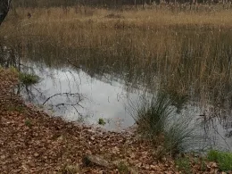 Sommerfelder Kiesgrube-1