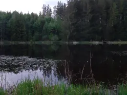 Eulenweiher (Steingaden)