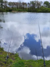 Vroonplas (Renesse)-2