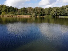 Vroonplas (Renesse)-3