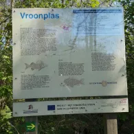 Vroonplas (Renesse)-3