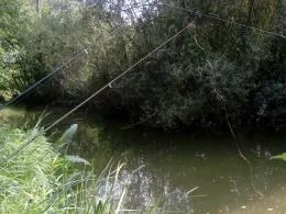 Schwarzer Schöps (Kreba-Neudorf)