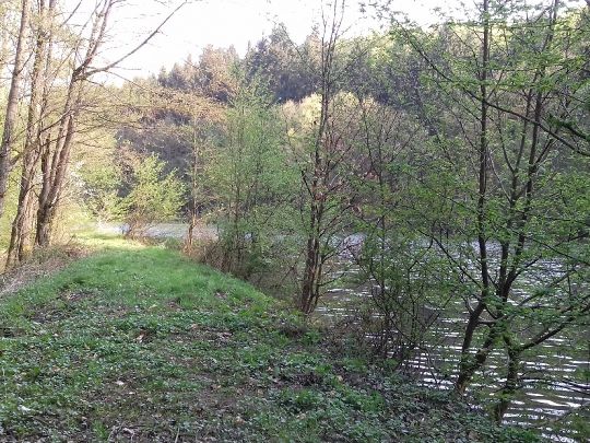 Teichanlage Erlental-2