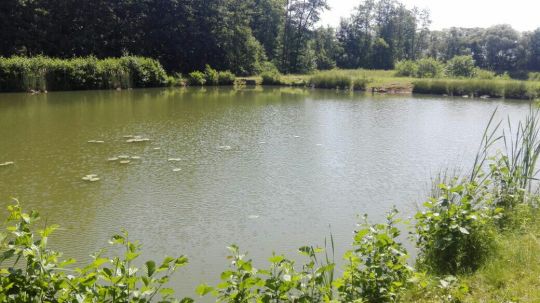 Teichanlage Erlental-0