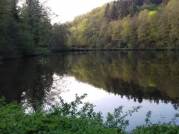 Teichanlage Erlental