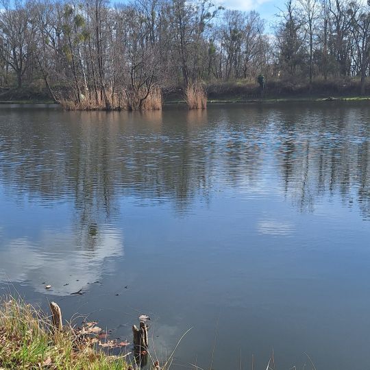 Karpfenteich Biethe (Roßlau)