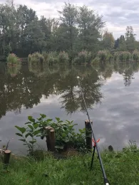 Karpfenteich Biethe (Roßlau)-3