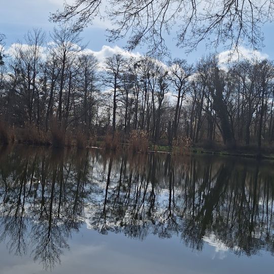 Karpfenteich Biethe (Roßlau)-2