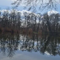 Karpfenteich Biethe (Roßlau)-2