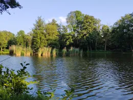 Karpfenteich Biethe (Roßlau)-1