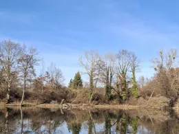 Karpfenteich Biethe (Roßlau)-4