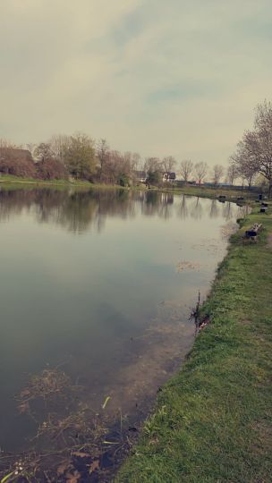 Hoogen Teiche