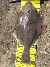 Hamburger Hafen (Steinwerder)-4