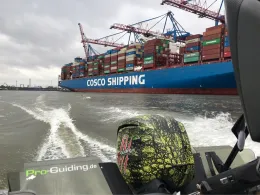 Hamburger Hafen (Steinwerder)