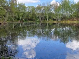 Lehmgrube Kändler-2