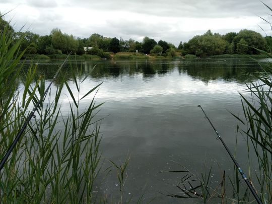 Kiesgrube Immelborn-1