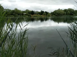 Kiesgrube Immelborn-1