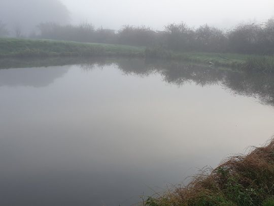 Angelparadies Midlum-1