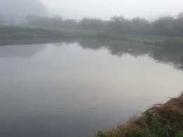 Angelparadies Midlum-1