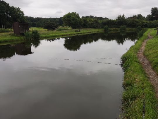 Angelparadies Midlum-2