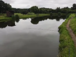 Angelparadies Midlum-2