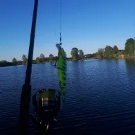 Eishüttensee (Oberschleißheim)