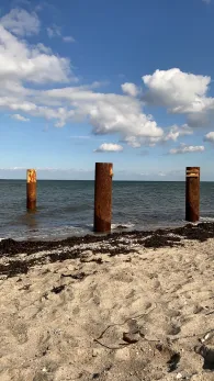 Ostsee (Fehmarn-Niobe)-1