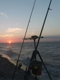 Ostsee (Fehmarn-Niobe)-3