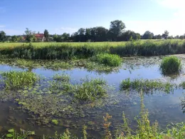 Wörnitz (Wittelshofen)-2