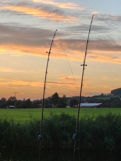 Wörnitz (Wittelshofen)-1