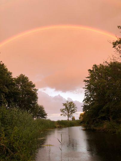 Alte Jeetzel (Dannenberg/Elbe)-1