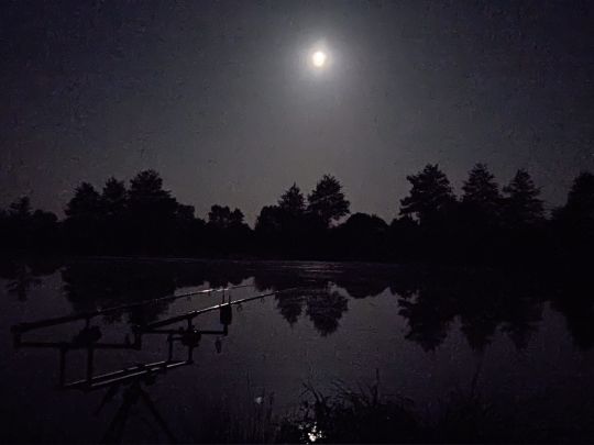 Plattensee Große Wiesen-3
