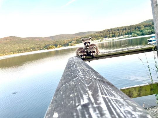 Edersee