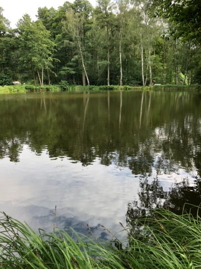 Mühlenteich (Ragösen)-2