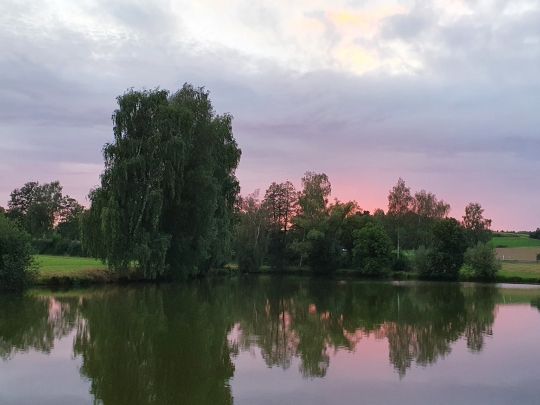 Püchersreuther Weiher-3