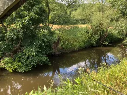 Glan (Ulmet-St.Julian)-1