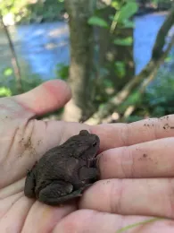 Glan (Ulmet-St.Julian)-4