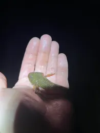 Glan (Ulmet-St.Julian)-3