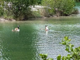 Dyckerhoff-Biotop (Beckum)