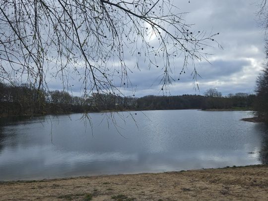 Hohenseer See