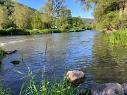 Fränkische Saale (Gemünden am Main)-1