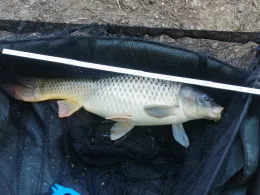 Maxhütte (Greudnitz)