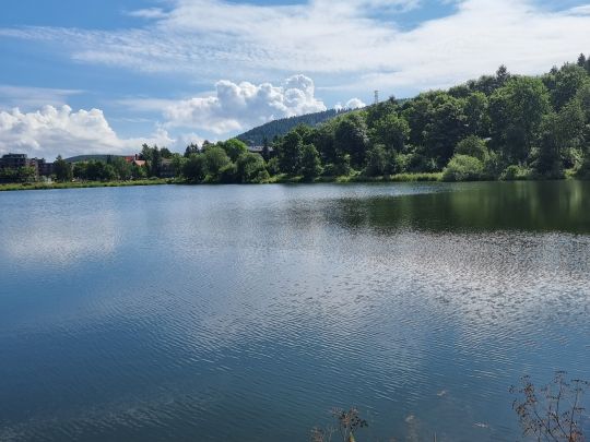 Kranicher Teich (Hahnenklee) ALLE ANGELN