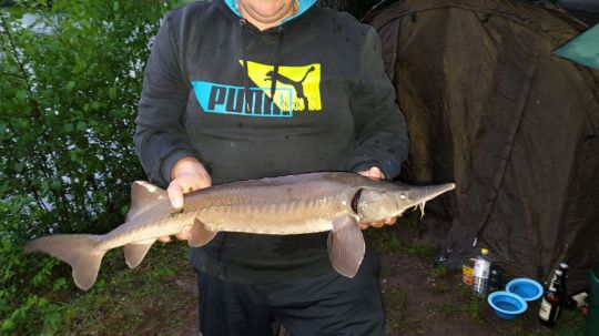 Baggersee Benningen a.N.-1