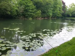 Seniorengraben (Hildesheim)