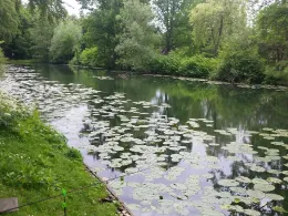 Seniorengraben (Hildesheim)-3